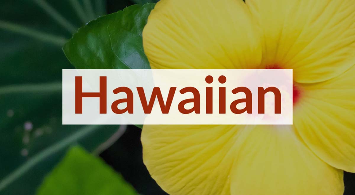 Hawaiian Royalty Free Music