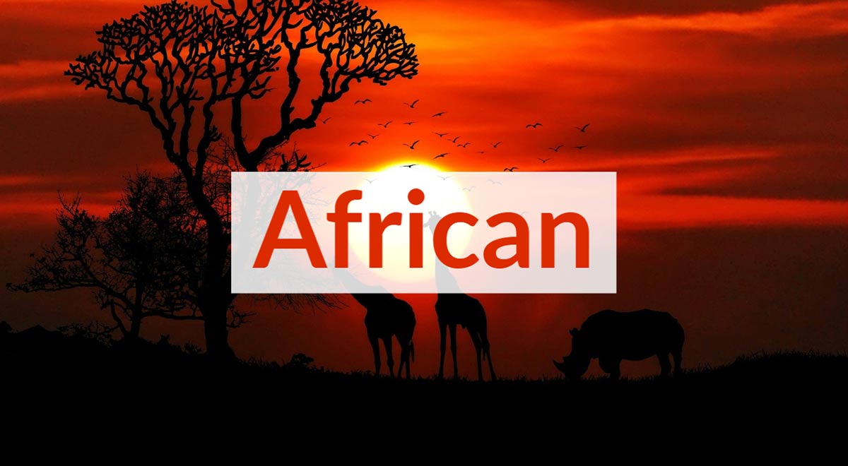 Royalty Free African Music For Videos