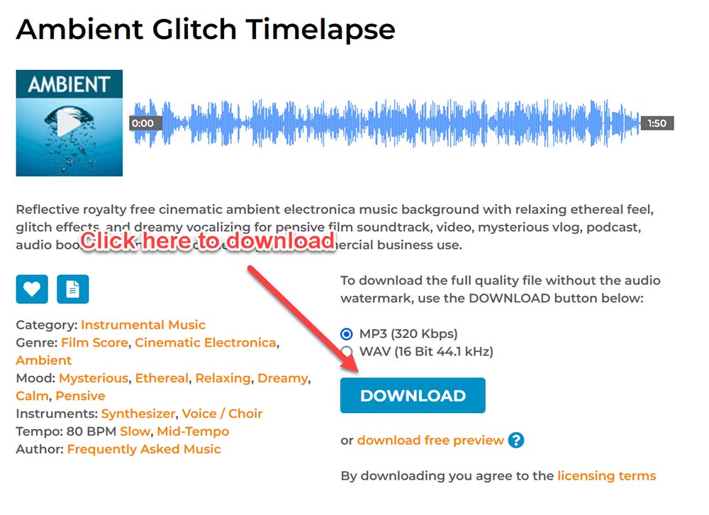 how to download tunepocket music without watermark details